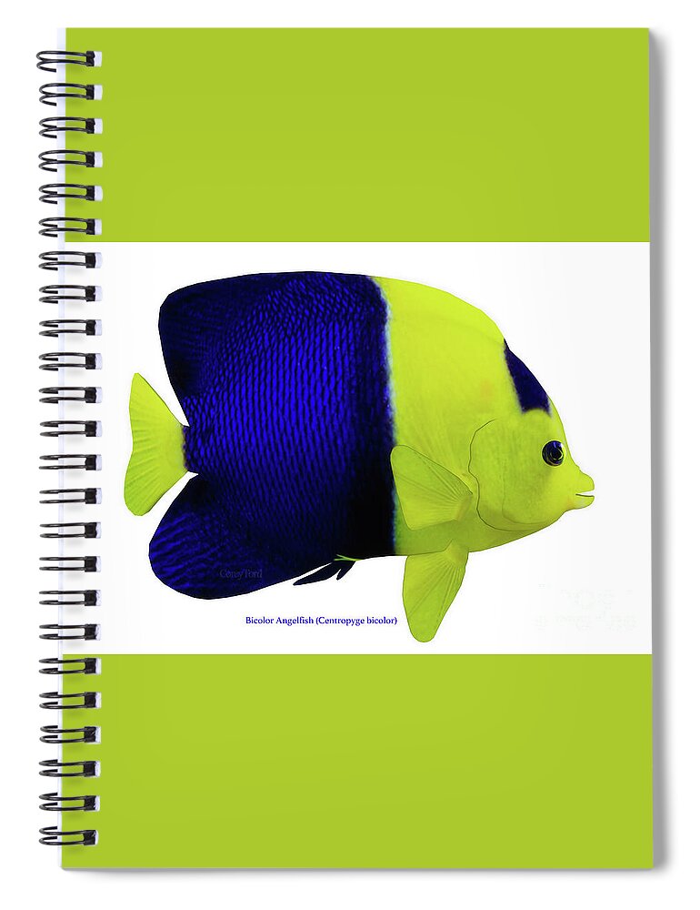 Bicolor Angelfish Spiral Notebook featuring the digital art Bicolor Angelfish by Corey Ford