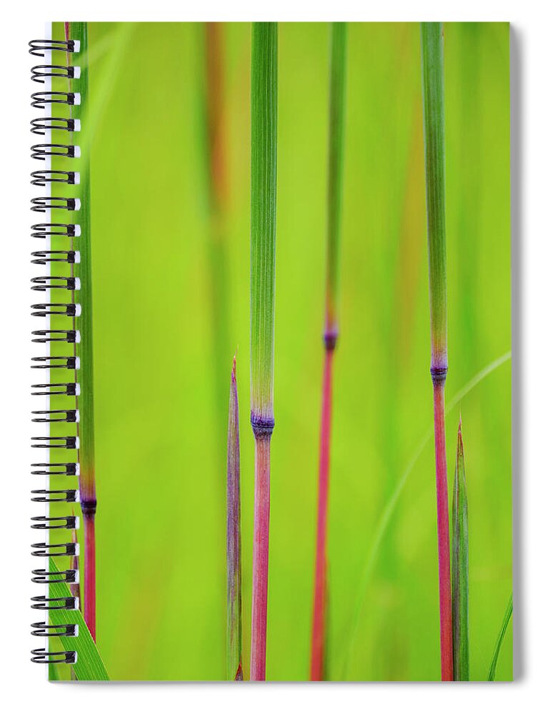 Andropogon Gerardii Spiral Notebook featuring the photograph Big Blue by Todd Bannor