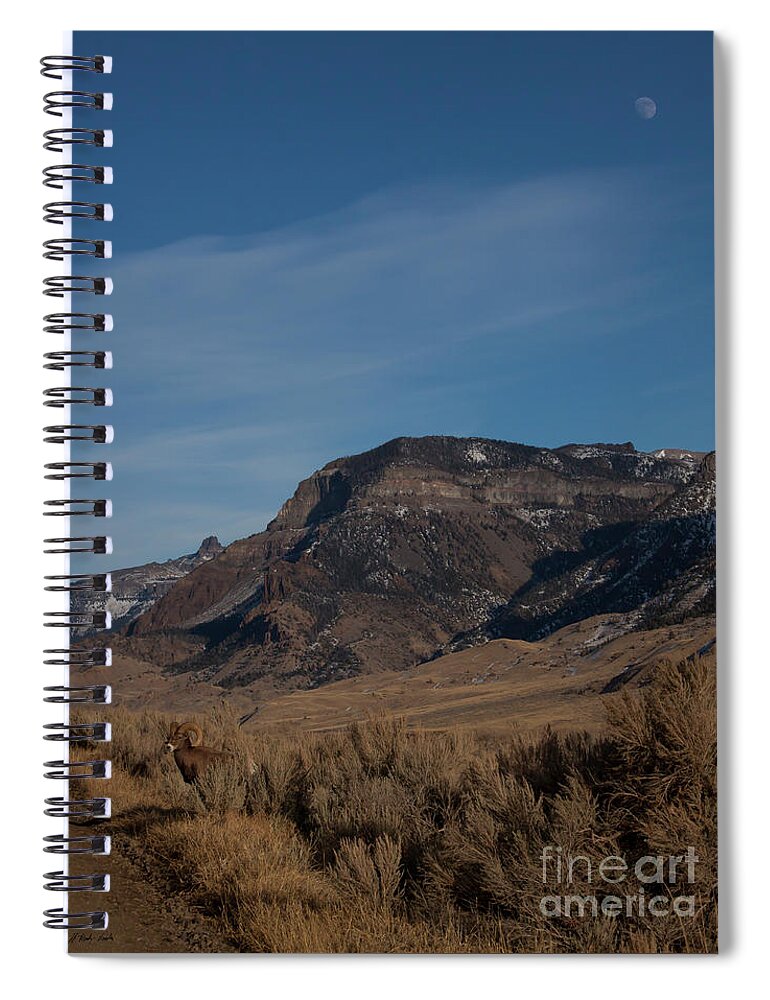 Sheep Spiral Notebook featuring the photograph Big Horn Ram And Carter Mountain-Signed-#2882 by J L Woody Wooden