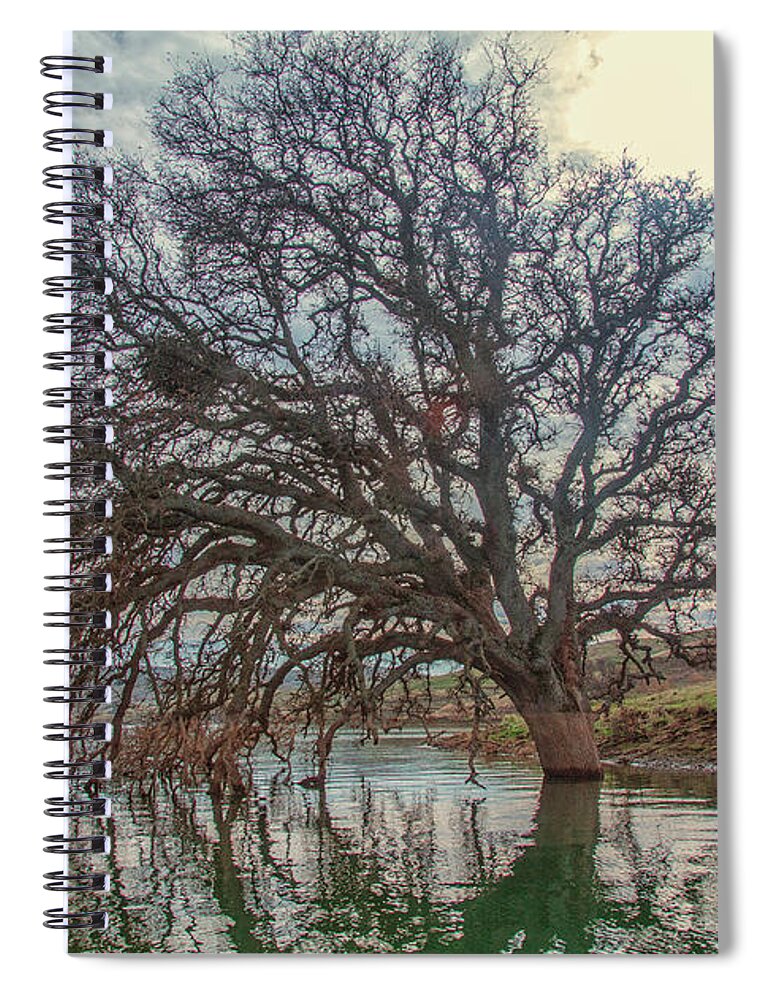 Landscape Spiral Notebook featuring the photograph Big Oak in Water by Marc Crumpler