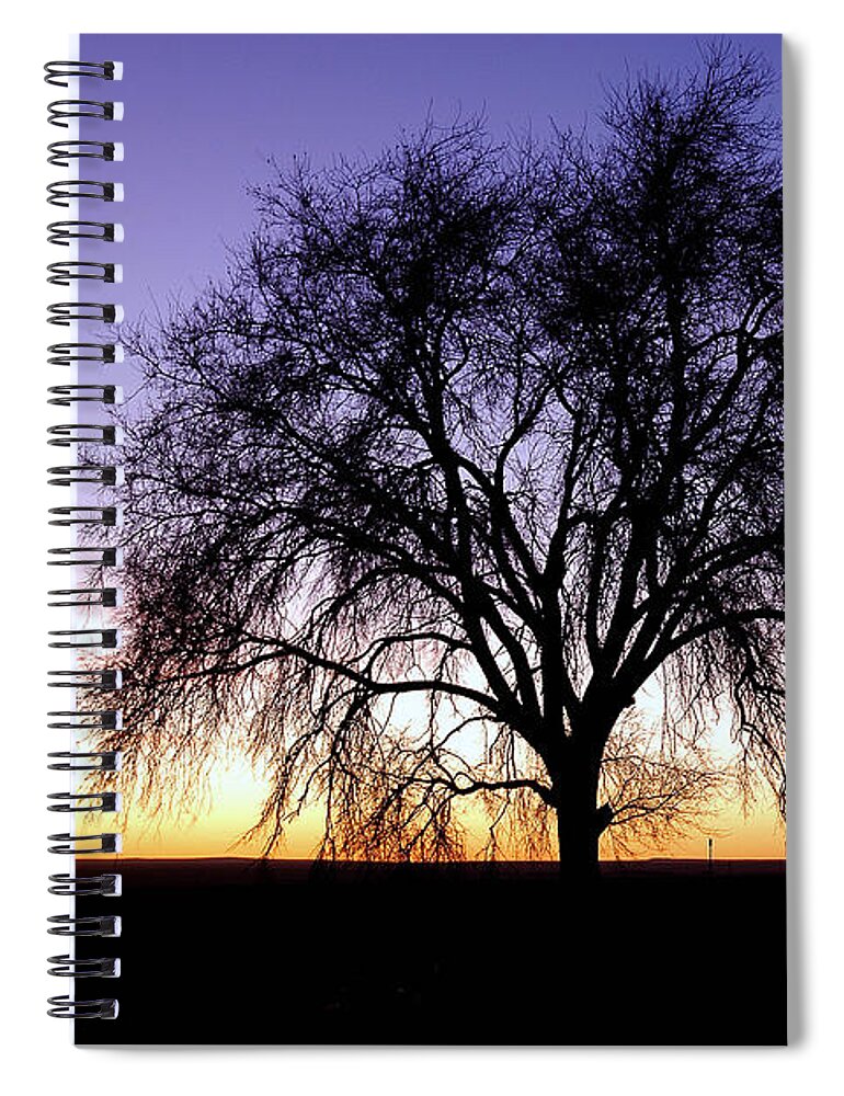 Morning Spiral Notebook featuring the photograph Big Sky - New Mexico by DArcy Evans