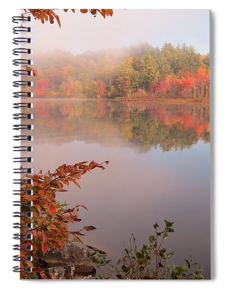 Mist Spiral Notebook featuring the photograph Birch and Beyond by MTBobbins Photography
