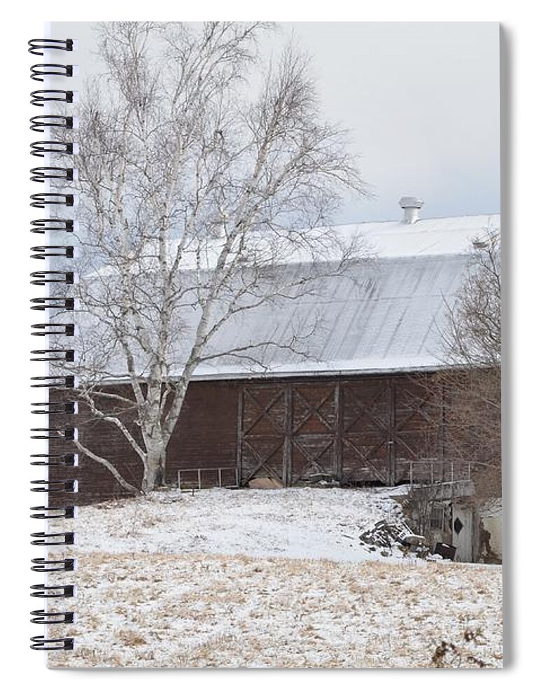Birch Spiral Notebook featuring the photograph Birch Barn by Greg Hayhoe