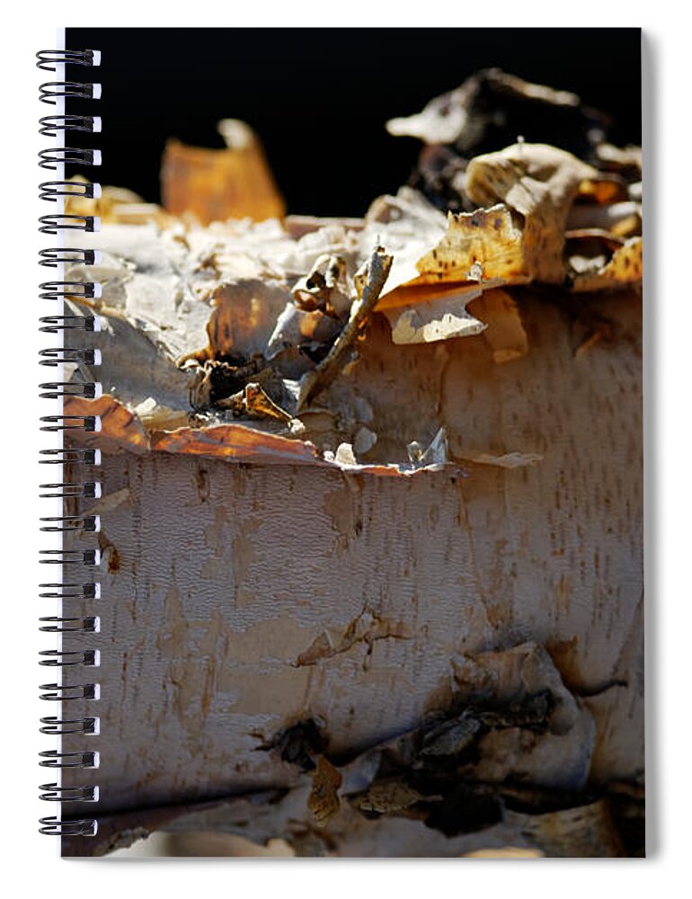 Birch Tree Spiral Notebook featuring the photograph Birch Tree Bark by Julie Niemela