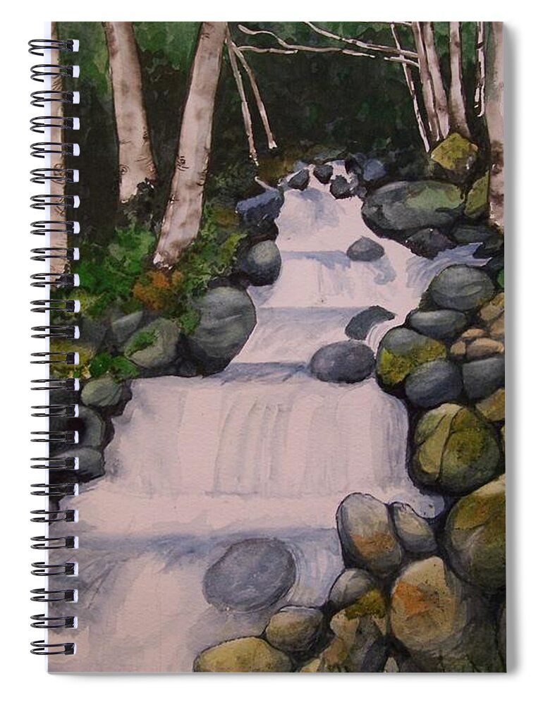 Landscape Spiral Notebook featuring the painting Birch Trees By the Brook by Lynn Babineau