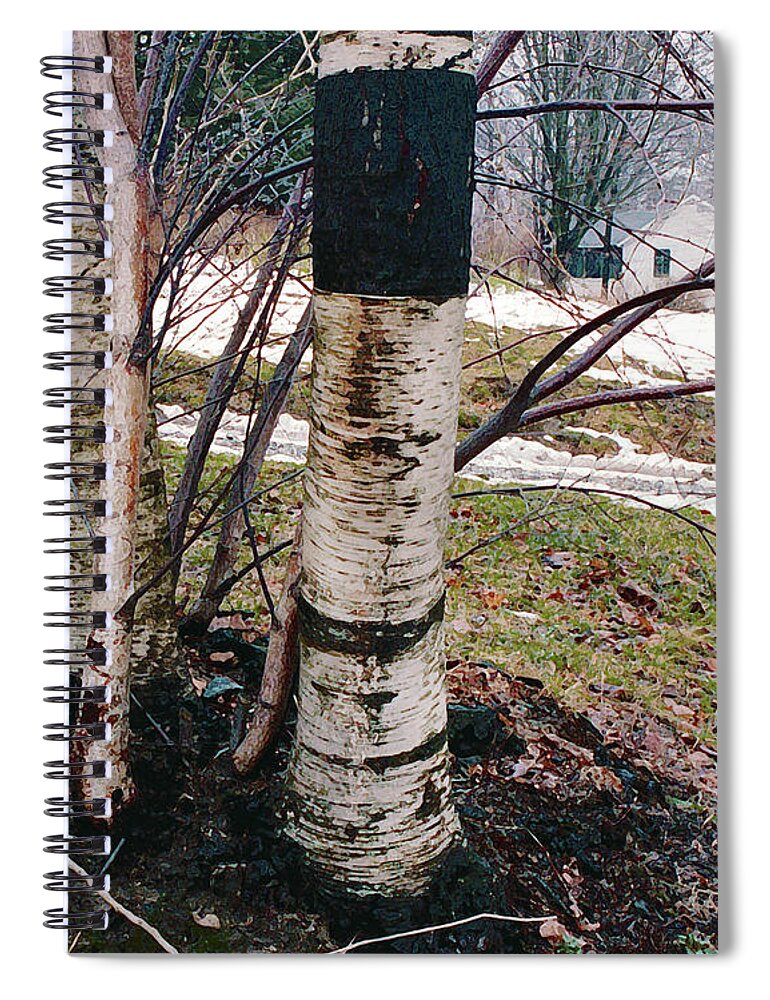 Nyoda Girls Camp Spiral Notebook featuring the digital art Birch Trees with House, Winter at Camp Nyoda 1988 by Kathy Anselmo