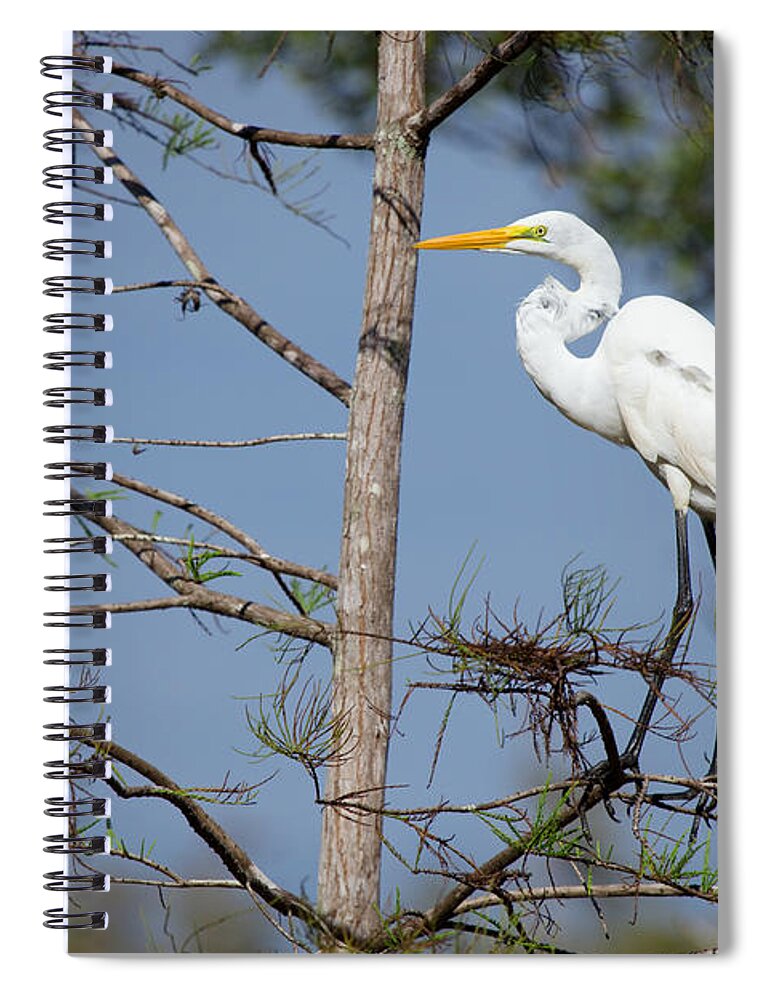 Bird Spiral Notebook featuring the photograph Bird 154 by Michael Fryd