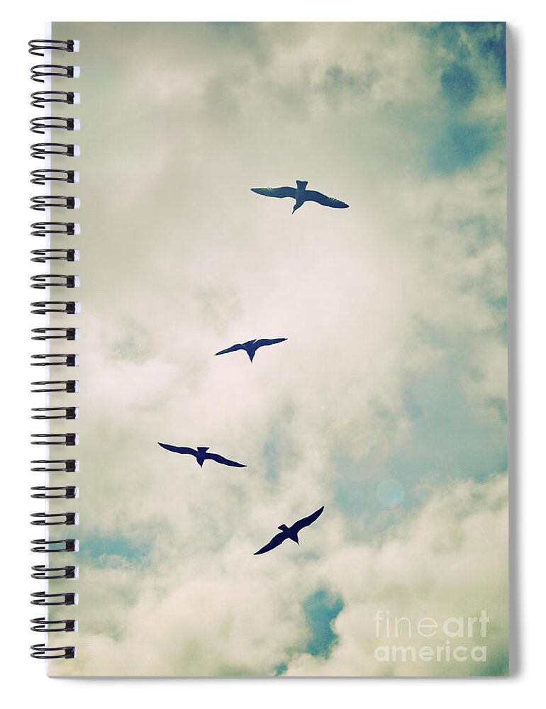 Birds Spiral Notebook featuring the photograph Bird Dance by Lyn Randle