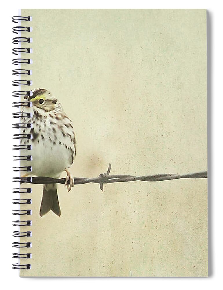 Birds Spiral Notebook featuring the photograph Bird on Barbed Wire by Pam Holdsworth