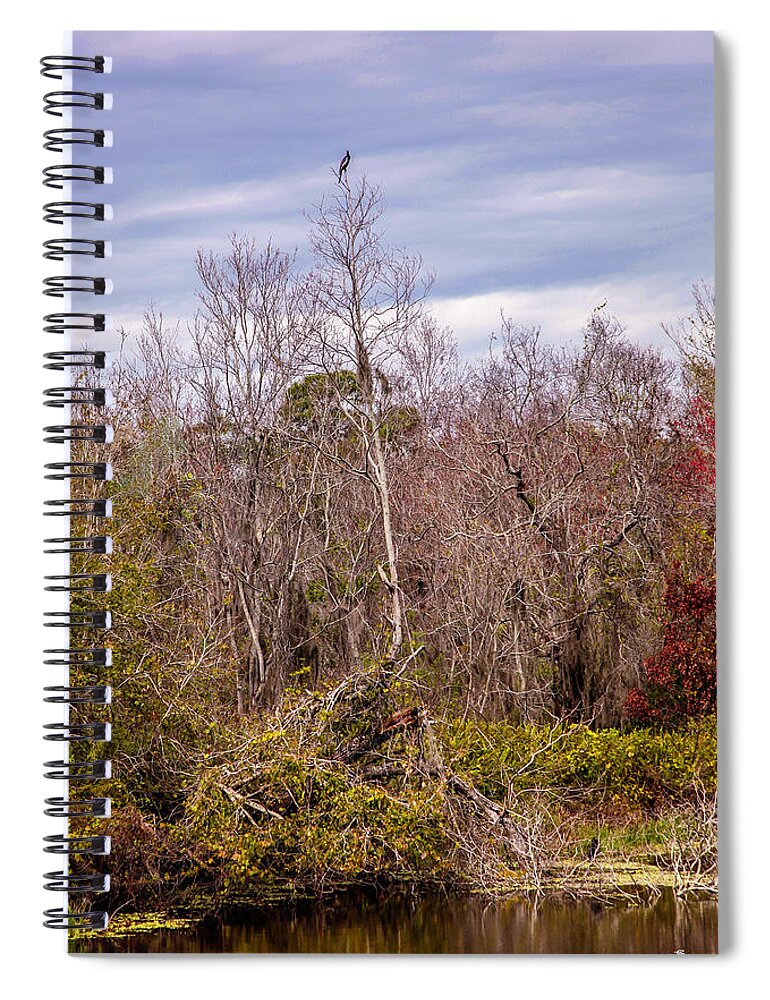 Bird Spiral Notebook featuring the photograph Bird Out On A Limb 3 by Madeline Ellis