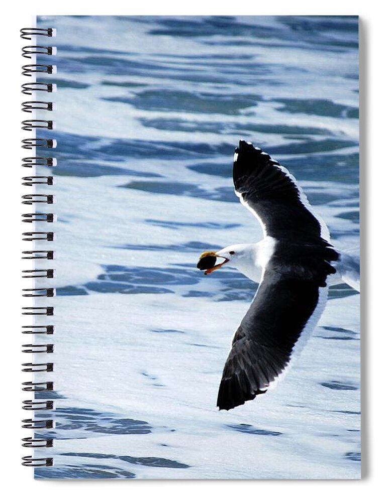 Bird Spiral Notebook featuring the photograph Bird Over Ocean by Matt Quest