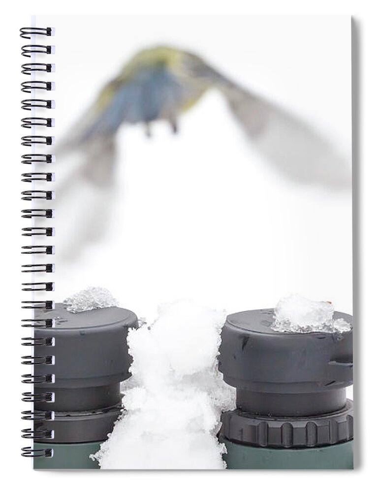 Bird Spiral Notebook featuring the photograph Bird watching concept in winter by Simon Bratt