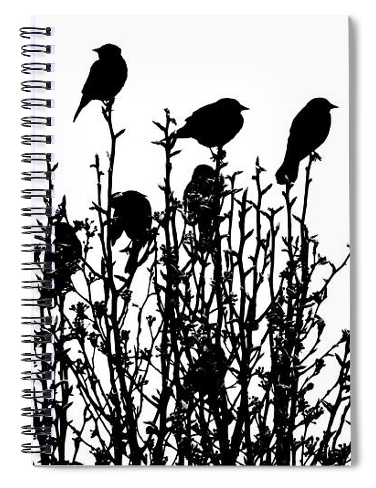Redwinged Spiral Notebook featuring the photograph Birdies by Cheryl McClure
