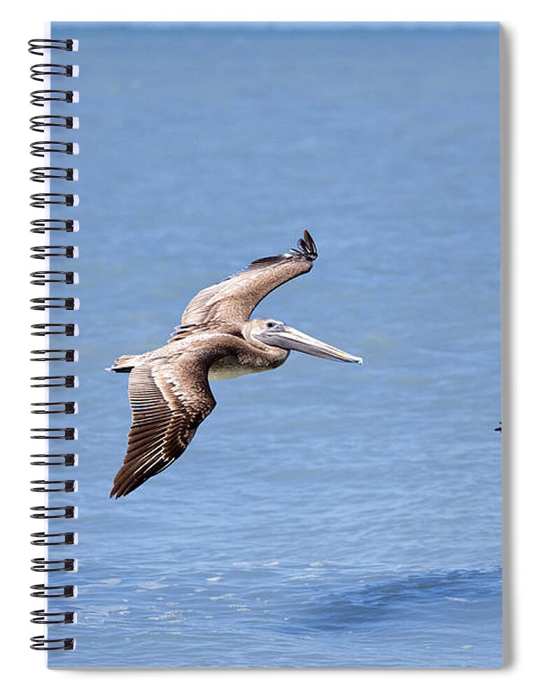 Birds Spiral Notebook featuring the photograph Birds 1039 by Michael Fryd