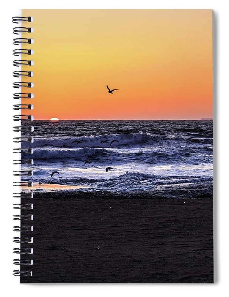 Birds Spiral Notebook featuring the photograph Birds at Sunrise by Nicole Lloyd