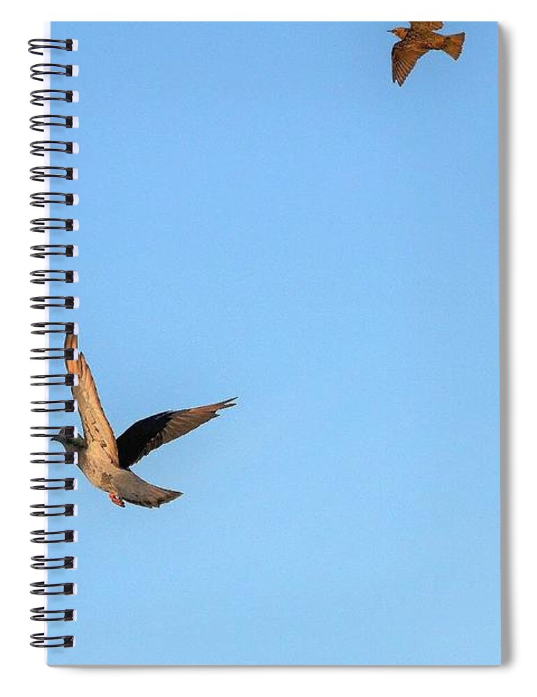 Bird Spiral Notebook featuring the photograph Birds in Flight by Kim Bemis