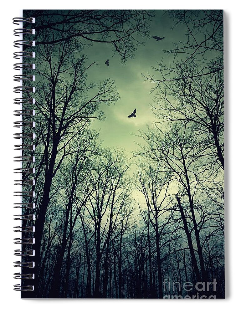 (bird Or Birds) Spiral Notebook featuring the photograph Birds in the Woods by Debra Fedchin