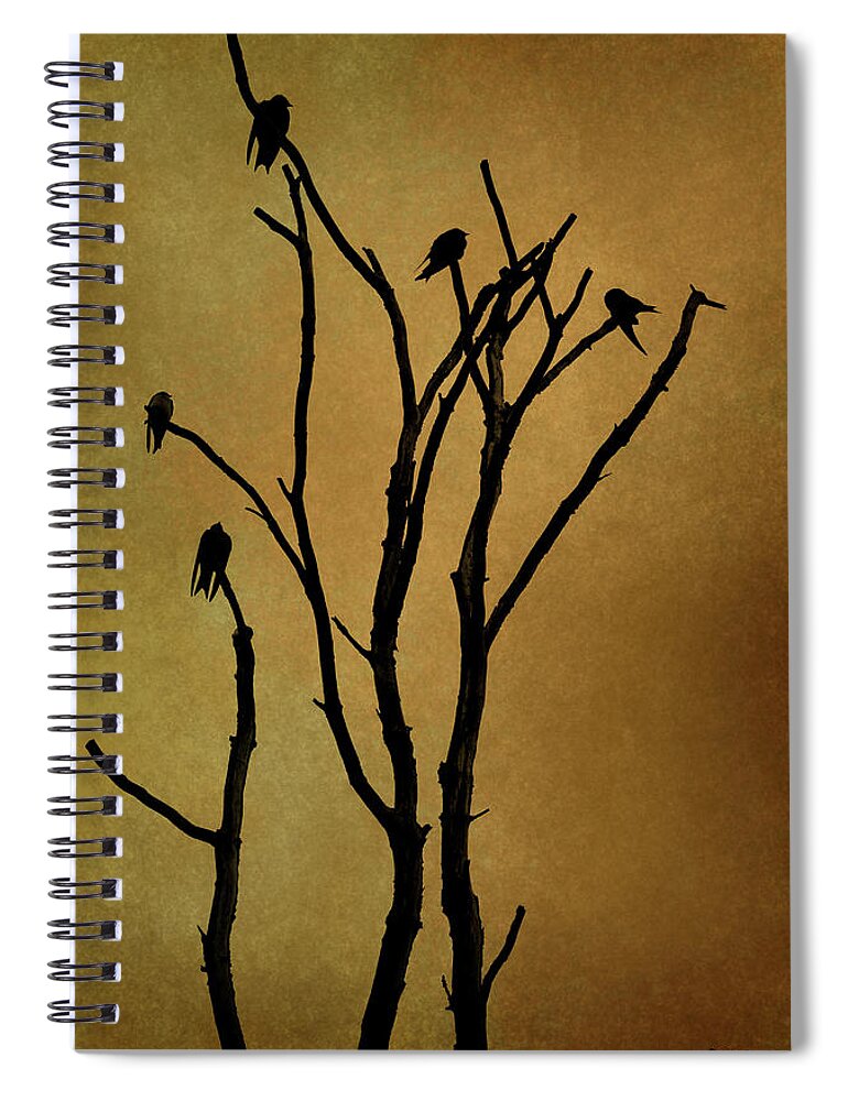 Birds Spiral Notebook featuring the photograph Birds in Tree by David Gordon