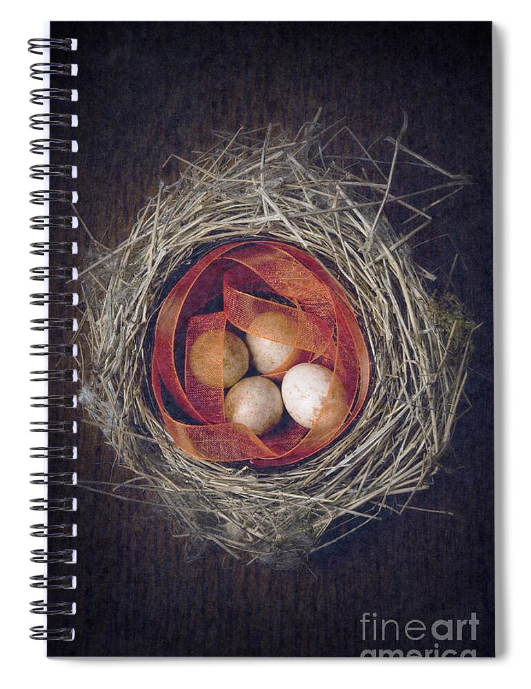 Bird Spiral Notebook featuring the photograph Bird's nest with eggs and ribbon by Clayton Bastiani