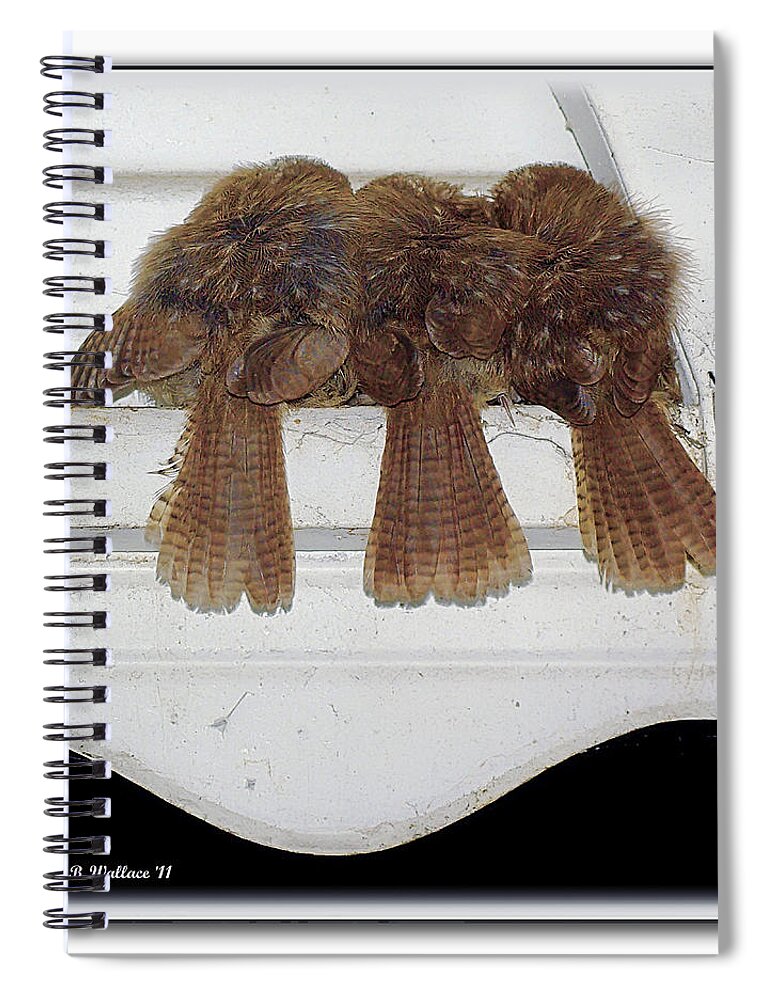 2d Spiral Notebook featuring the photograph Birds Of A Feather by Brian Wallace