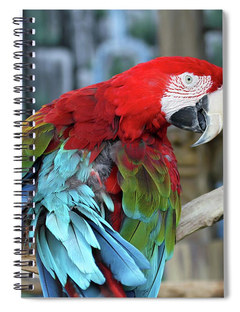 Parrot Spiral Notebook featuring the photograph Birds of a Feather by Jackson Pearson