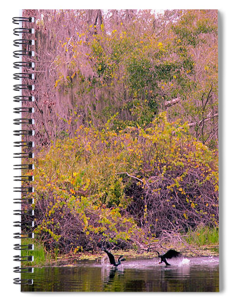 Bird Spiral Notebook featuring the photograph Birds Playing In The Pond 2 by Madeline Ellis