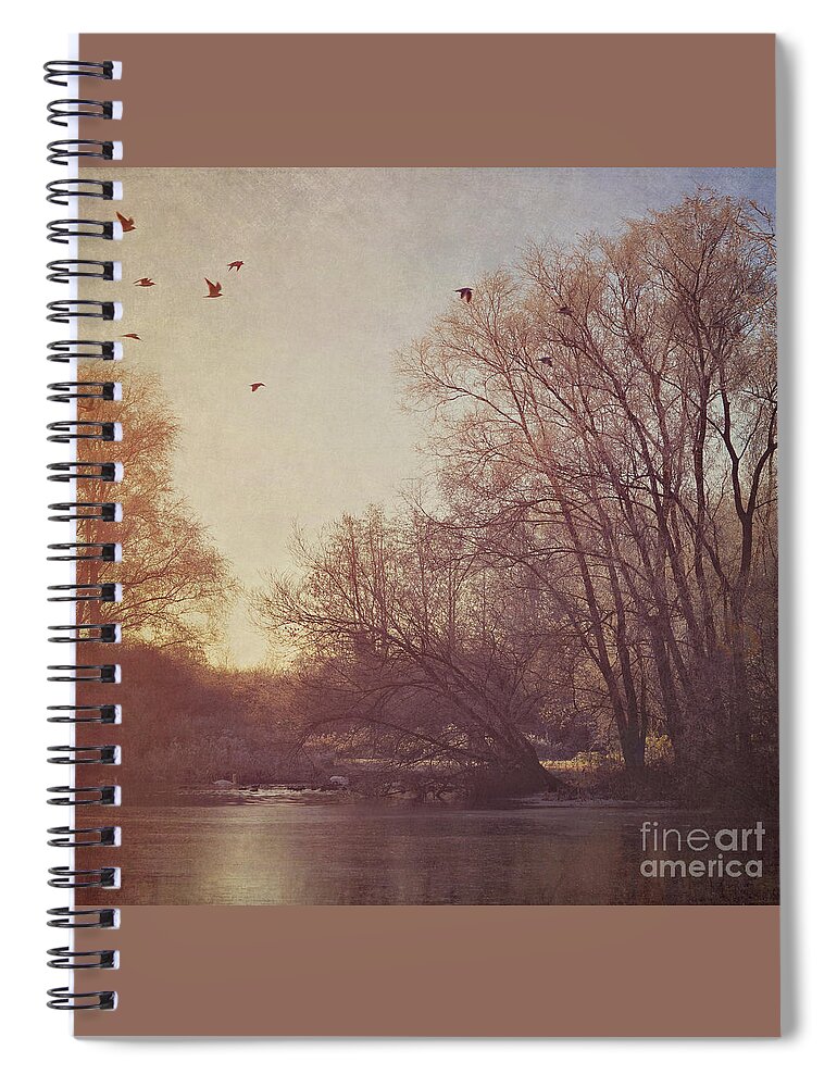 Silhouetted Birds Spiral Notebook featuring the photograph Birds take flight over lake on a winters morning by Lyn Randle