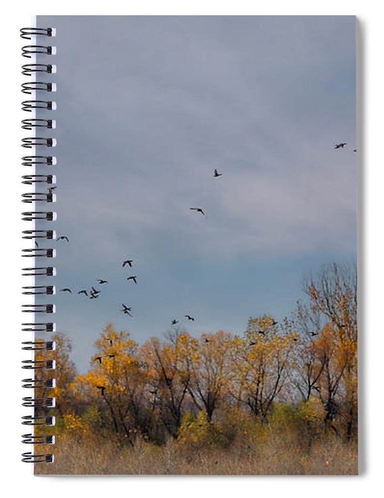 Birds Spiral Notebook featuring the photograph Birds Upon the Sky by Elizabeth Winter