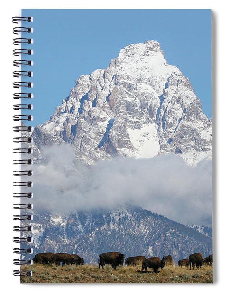 Bison Spiral Notebook featuring the photograph Bison in the Tetons by Wesley Aston