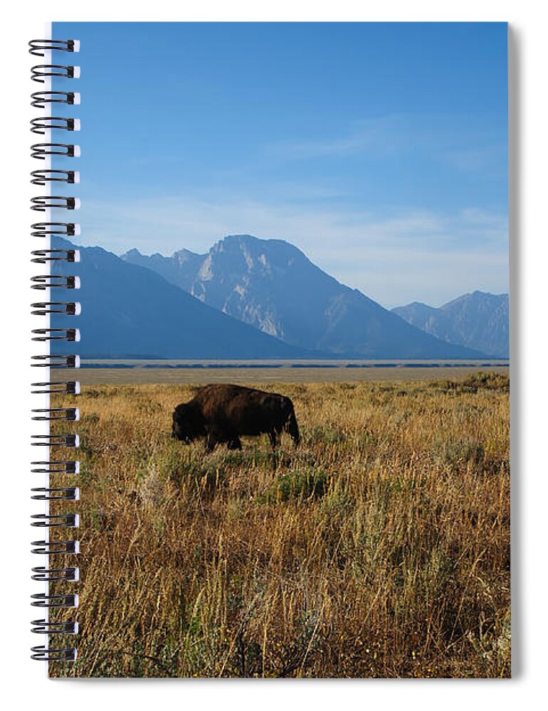 Sky Spiral Notebook featuring the photograph Bisons in the Tetons by Roberta Kayne
