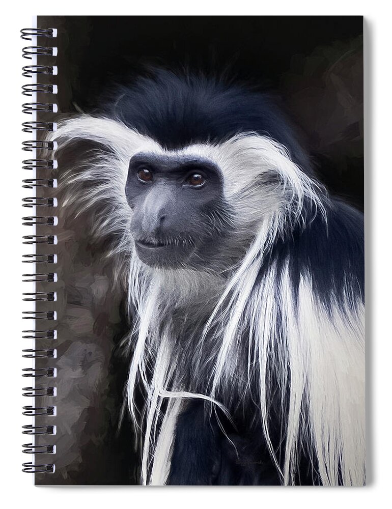 Colobus Angolensis Spiral Notebook featuring the photograph Black and white colobus monkey by Penny Lisowski