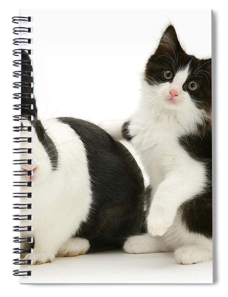 Black Dutch Spiral Notebook featuring the photograph Black and White Double Act by Warren Photographic