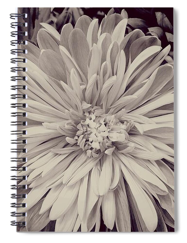 Black And White Spiral Notebook featuring the photograph Black and White Flora by Marian Lonzetta