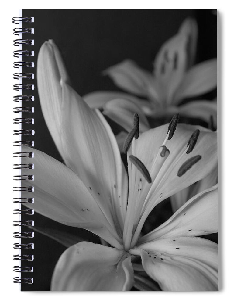 Flower Spiral Notebook featuring the photograph Black and White Lilies 2 by Amy Fose