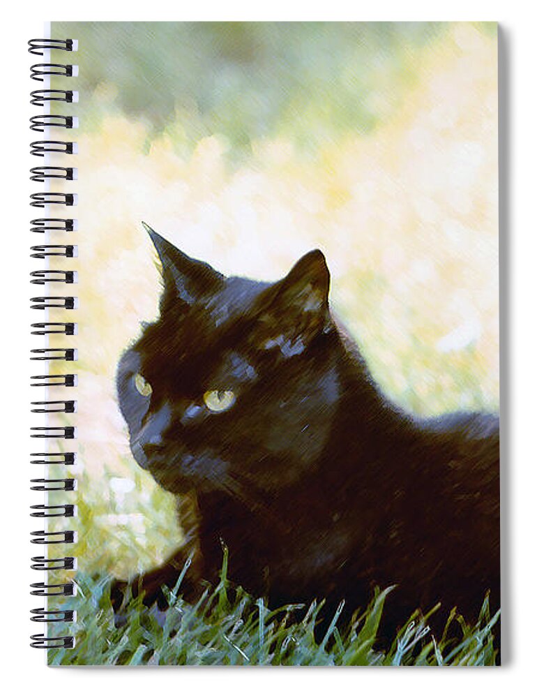 Black Cat Spiral Notebook featuring the photograph Black Cat in the Sun by Geoff Jewett