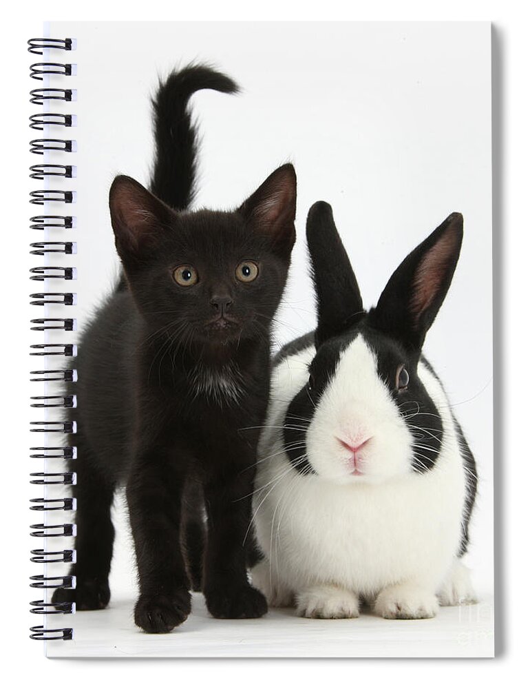 Nature Spiral Notebook featuring the photograph Black Kitten And Dutch Rabbit by Mark Taylor