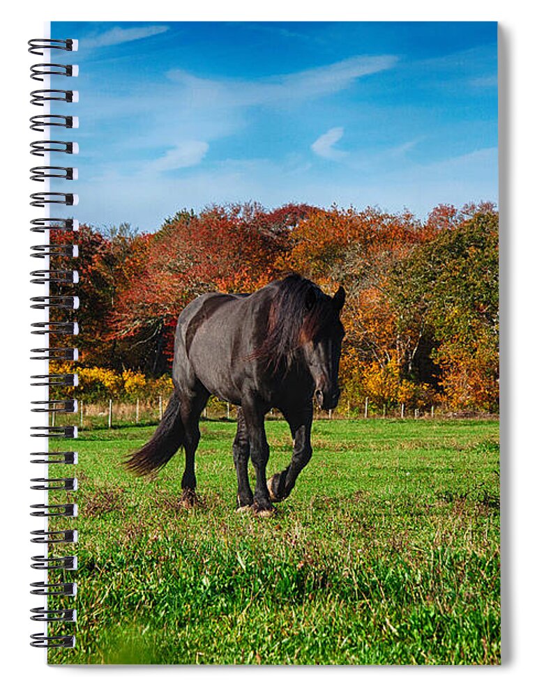 #jefffolger Spiral Notebook featuring the photograph Black stalion in the fall colors by Jeff Folger