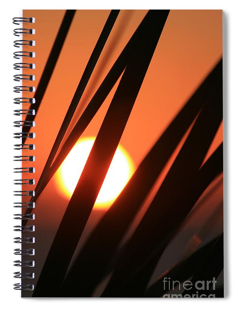 Sun Spiral Notebook featuring the photograph Blazing Sunset and Grasses by Nadine Rippelmeyer