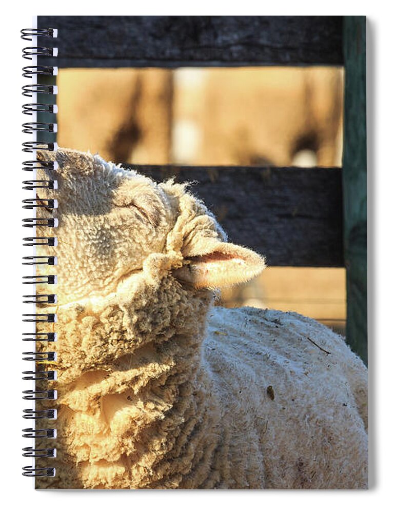Farm Spiral Notebook featuring the photograph Bleating Sheep by Joni Eskridge
