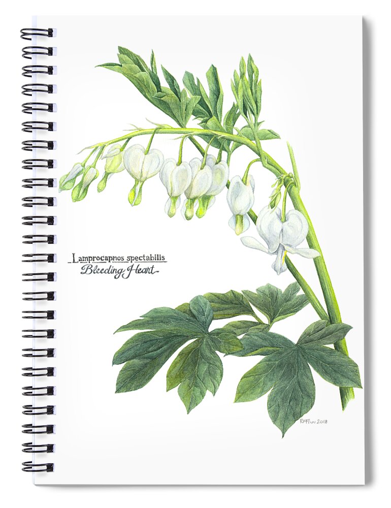 Botanical Spiral Notebook featuring the painting Bleeding Heart by Rowena Finn