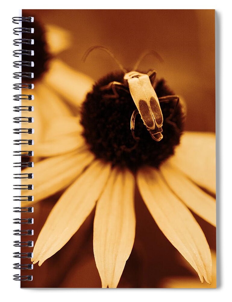 Leatherwing Spiral Notebook featuring the photograph Blending by Angela Rath