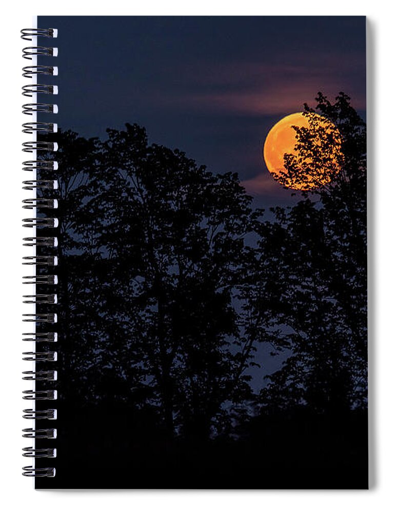 Cheryl Baxter Photography Spiral Notebook featuring the photograph Blood Moonrise by Cheryl Baxter