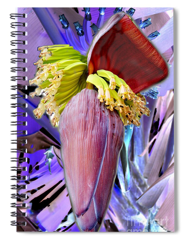 Brazil Spiral Notebook featuring the photograph Bloom by Metaphor Photo