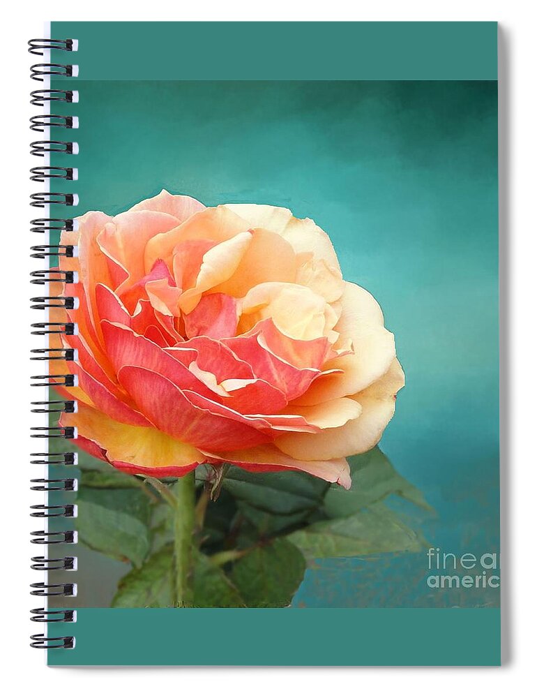 Rose Spiral Notebook featuring the photograph Perfect Rose of Spring by Janette Boyd