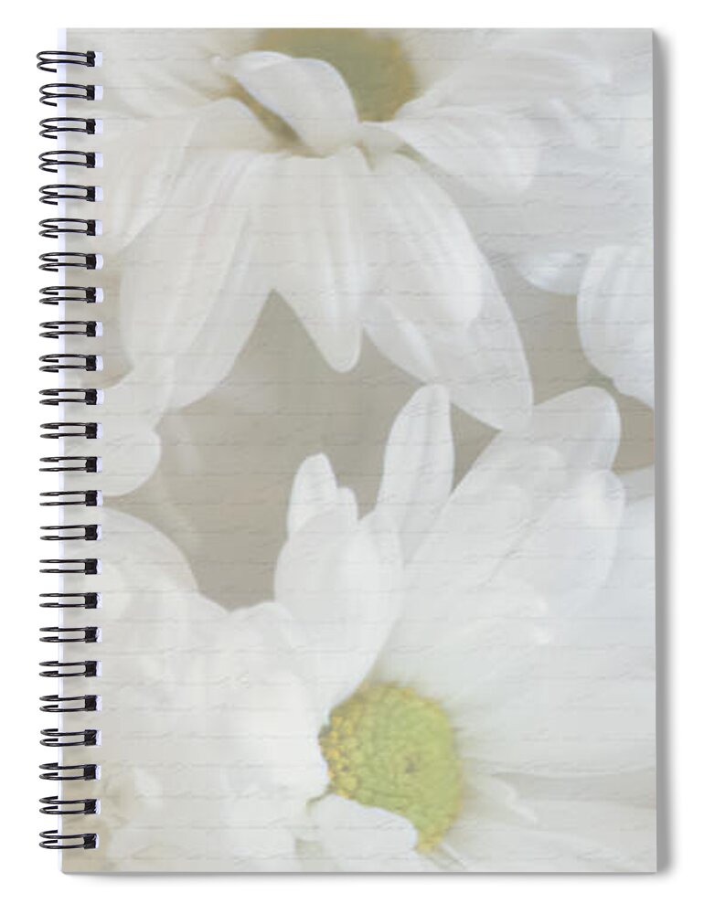 Daisies Spiral Notebook featuring the photograph Blooming Daisies by Linda Segerson