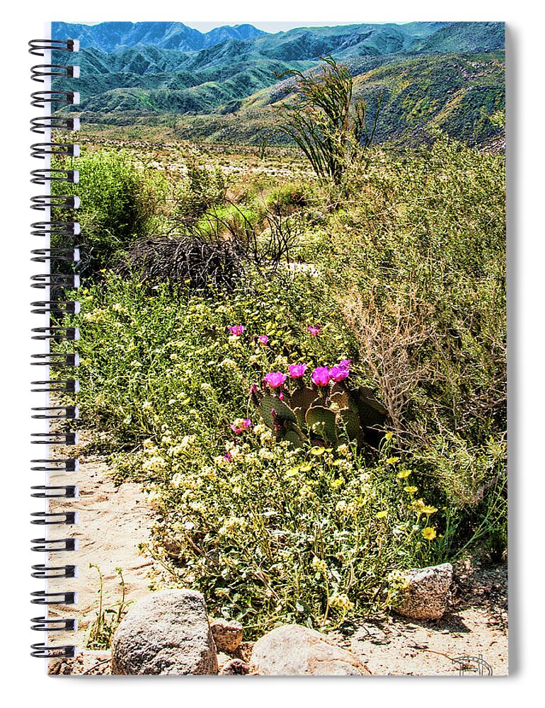 Super Bloom Spiral Notebook featuring the photograph Blooming Prickly pair in Desert Daisy Garden by Daniel Hebard