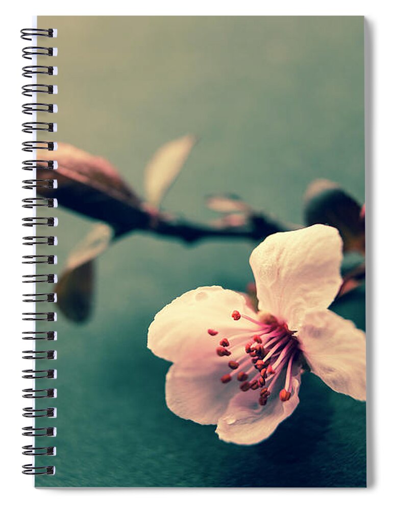 Plum Blossom Spiral Notebook featuring the photograph Blossom by Caitlyn Grasso