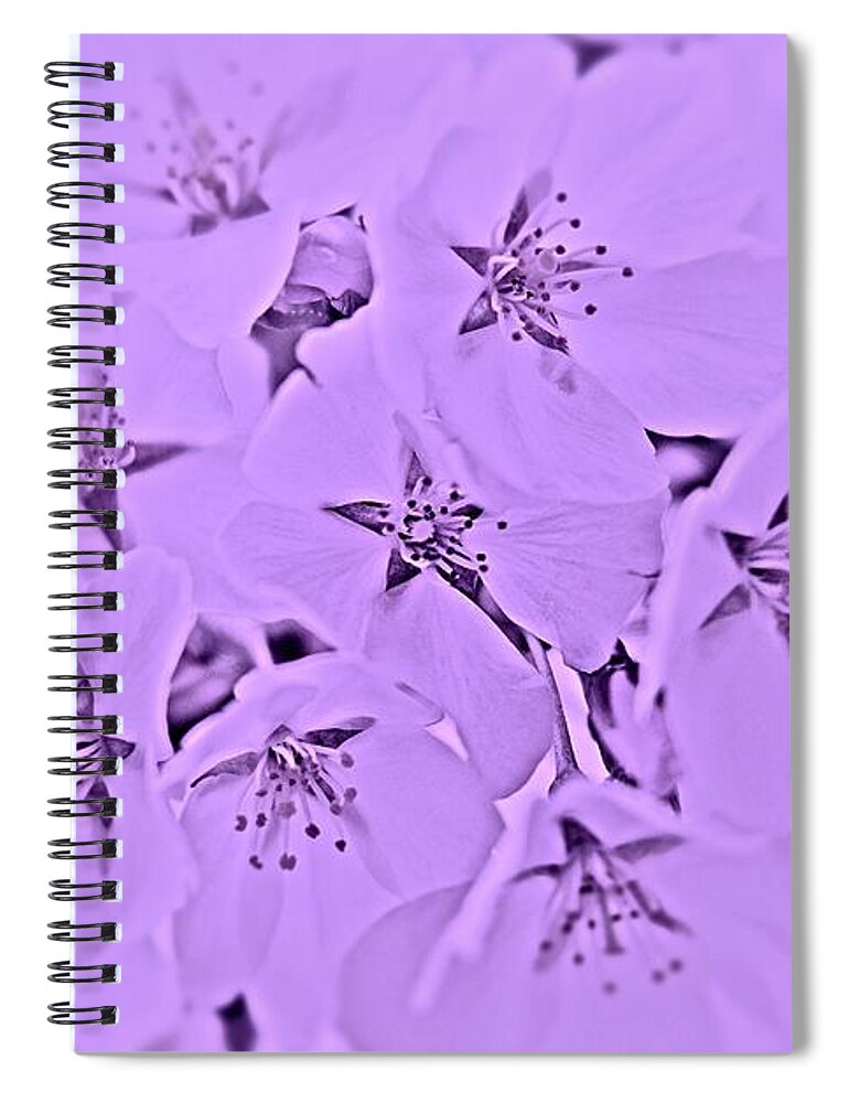 Cherry Blossoms Spiral Notebook featuring the photograph Blossoming Softness by Angie Tirado