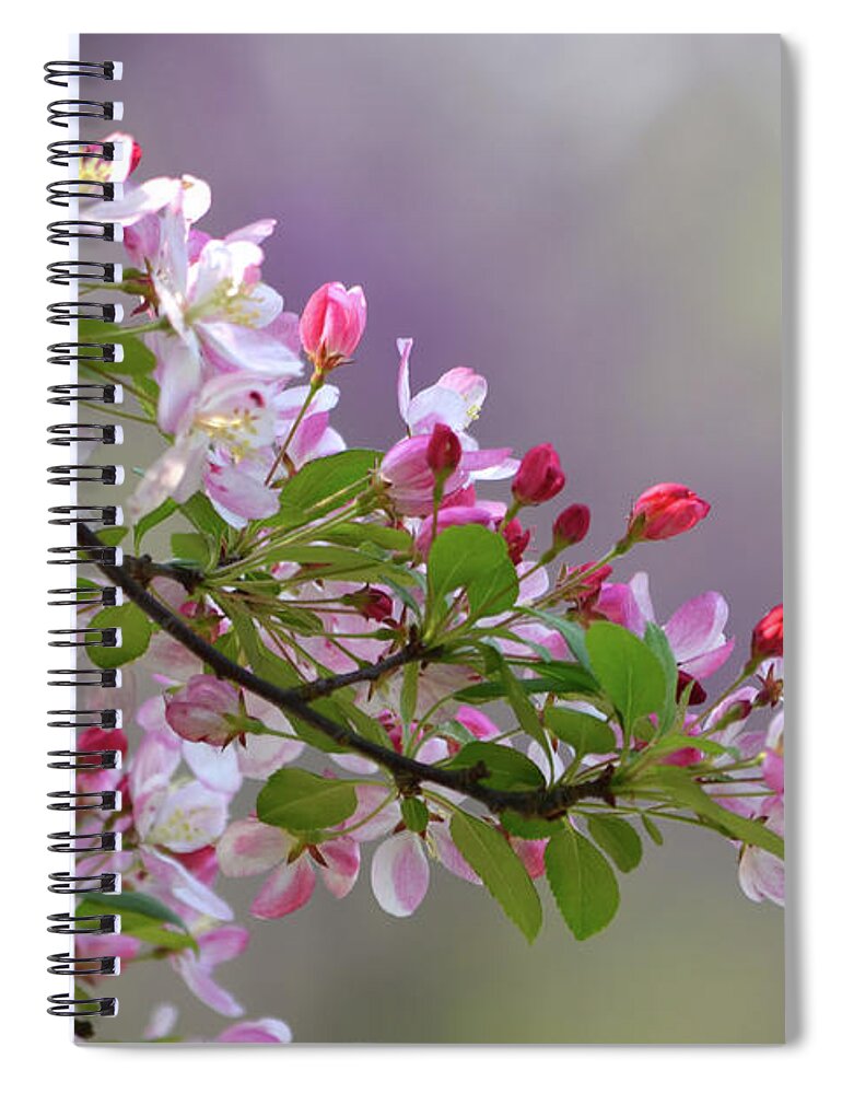 Flower Spiral Notebook featuring the photograph Blossoms and Bokeh by Ann Bridges