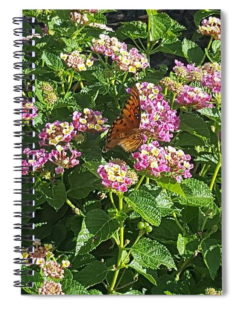 Plants Spiral Notebook featuring the photograph Blossoms and Wings #2 by Rachel Hannah